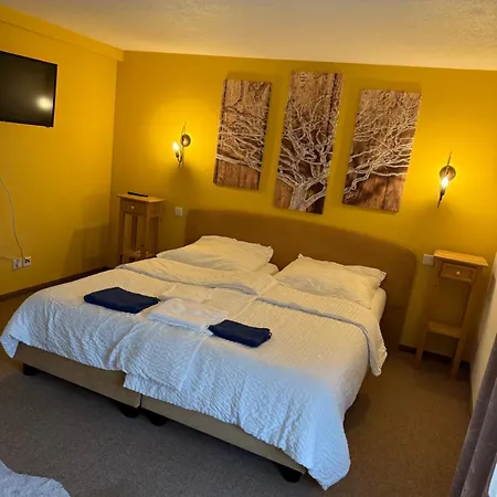 Leos Und Armando Gjuci Gbr *