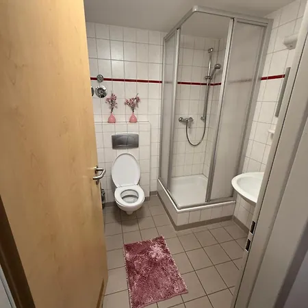 Leos Und Armando Gjuci Gbr *