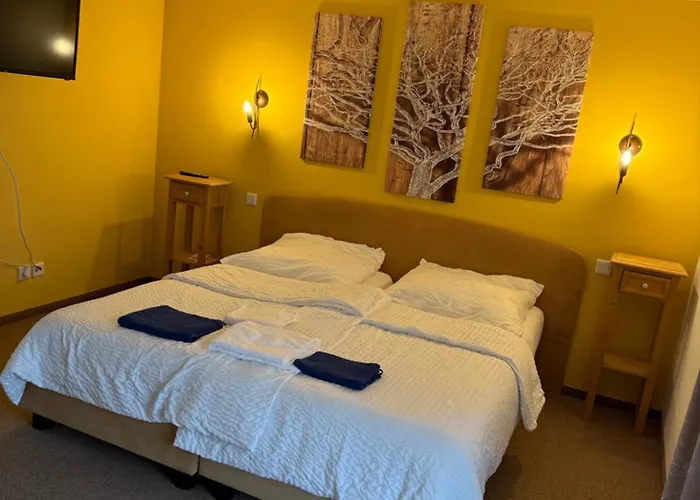 Leos Und Armando Gjuci Gbr *