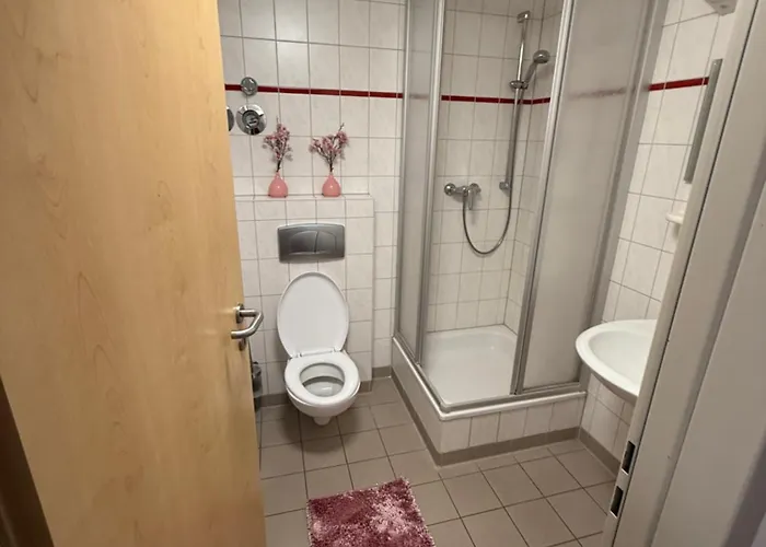 Leos Und Armando Gjuci Gbr *